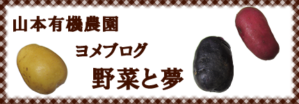 山本有機農園ヨメブログ　野菜と夢